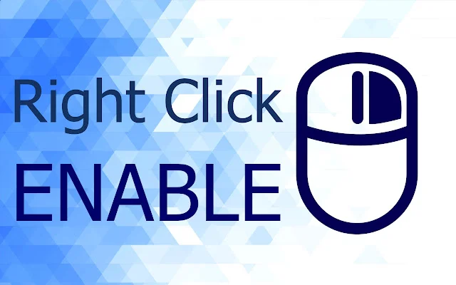 Enable Copy-Paste & Right-Click – Ekstensi Chrome Terbaik - Screenshot 2