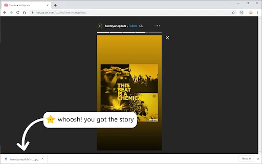 Story Saver: Download Video & Story FB, IG Gratis Tercepat - Screenshot 5