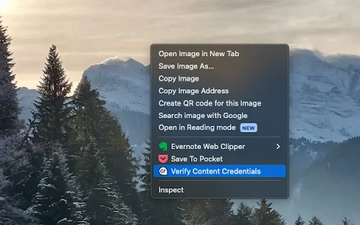 C2PA Content Credentials – Verifikasi Aset Digital Anda - Screenshot 1